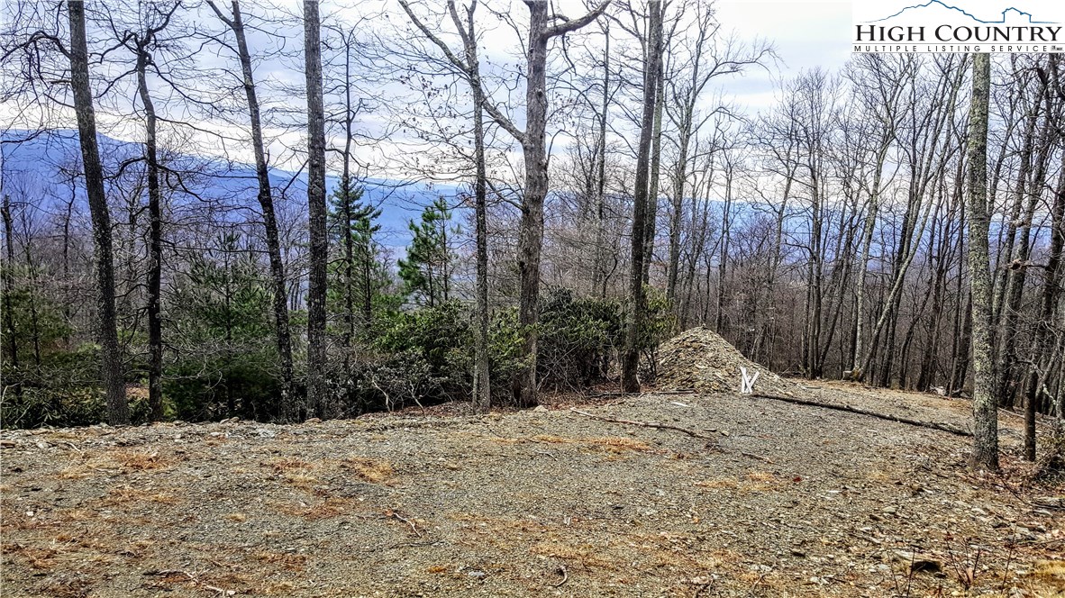 389 Rock Cliff Road Boone, NC 28607 - Photo 9 of 9 Gallery Image 9