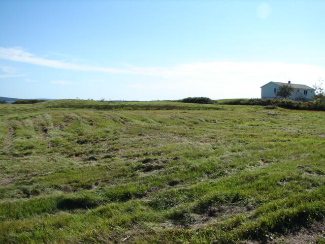 1059 Cutler Road Whiting, ME 04691 - Photo 3 of 8 DSC00268
