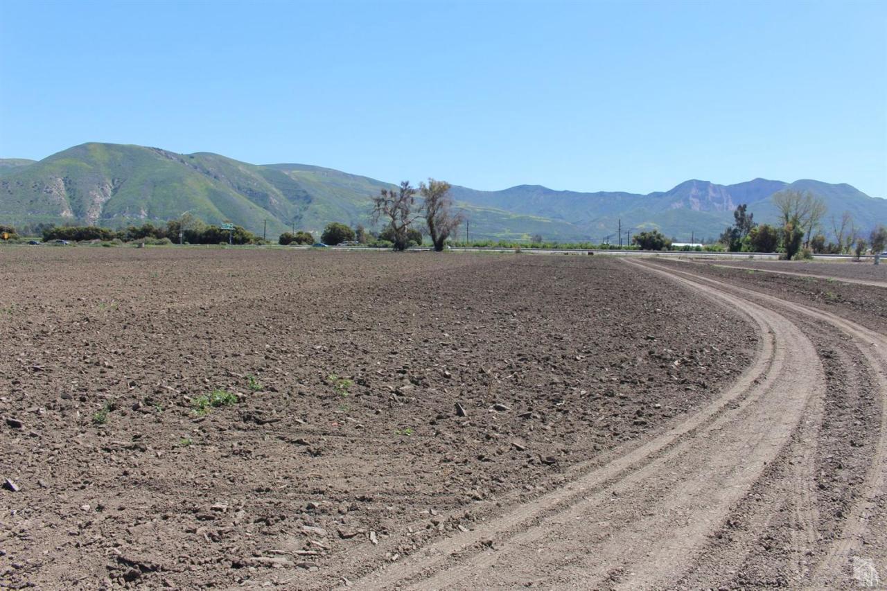 Faulkner Road Santa Paula, CA 93060 - Photo 7 of 7 Gallery Image 7