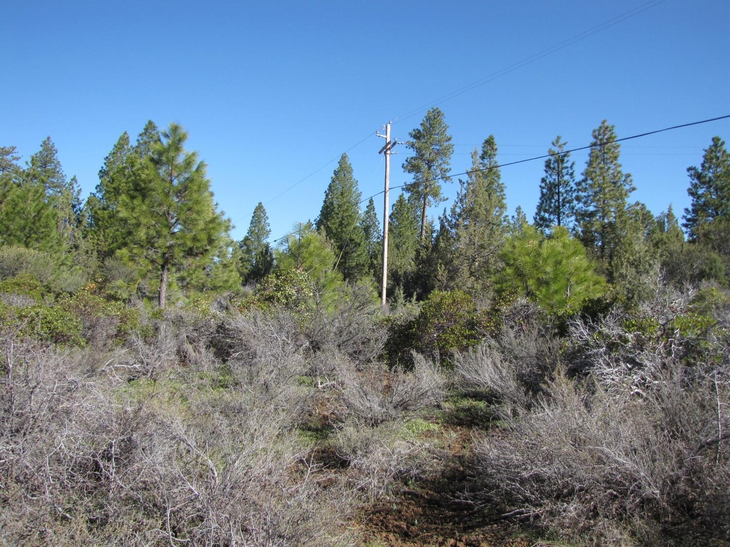0 Hummingbird Drive Bonanza, OR 97623 - Photo 13 of 13 Additional Photo