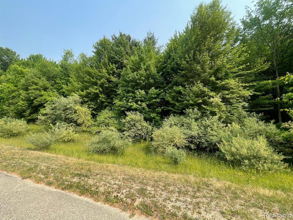 0 Mill Road Dryden, MI 48428 - Photo 9 of 18