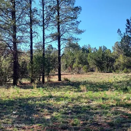 $174,900 | 3120-3122 Whitetail Way, Overgaard, AZ 85933