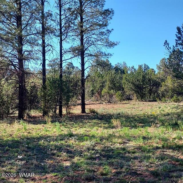 3120-3122 Whitetail Way Overgaard, AZ 85933 - Photo 1 of 7 Whitetail Way 1