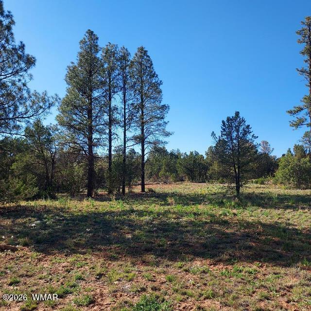 3120-3122 Whitetail Way Overgaard, AZ 85933 - Photo 2 of 7 Whitetail Primary