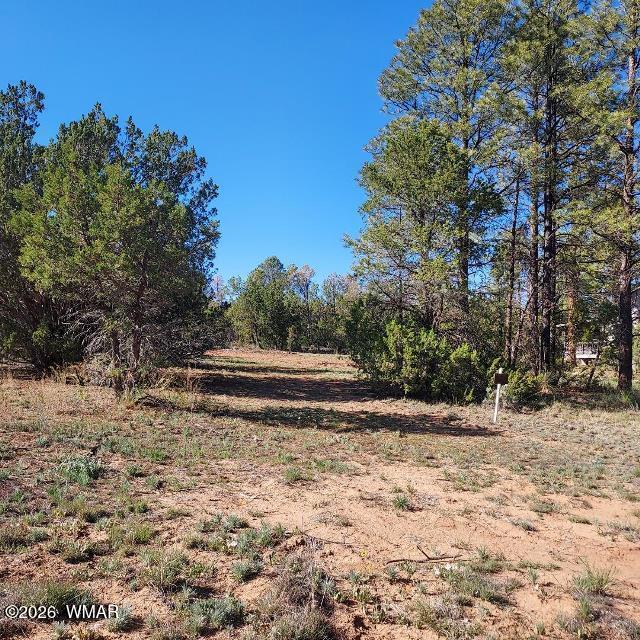 3120-3122 Whitetail Way Overgaard, AZ 85933 - Photo 3 of 7 Whitetail Way 2