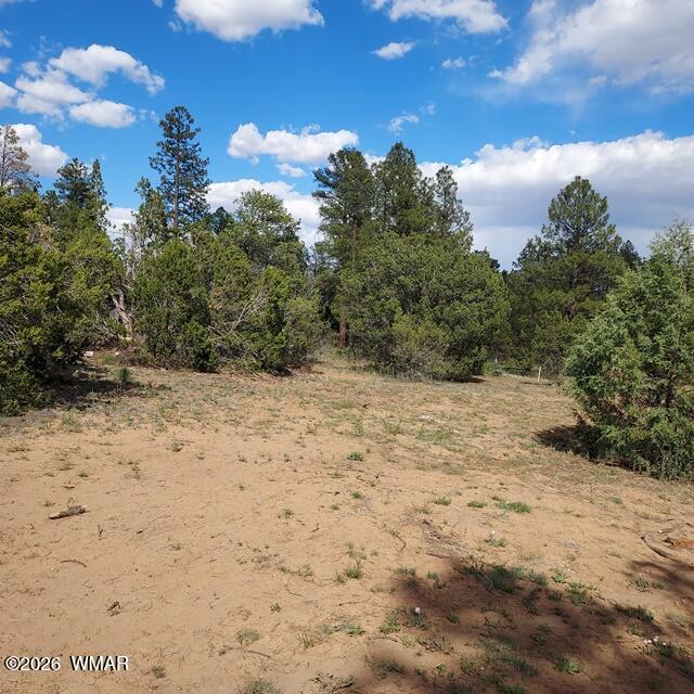 3120-3122 Whitetail Way Overgaard, AZ 85933 - Photo 4 of 7 Whitetail Way 3