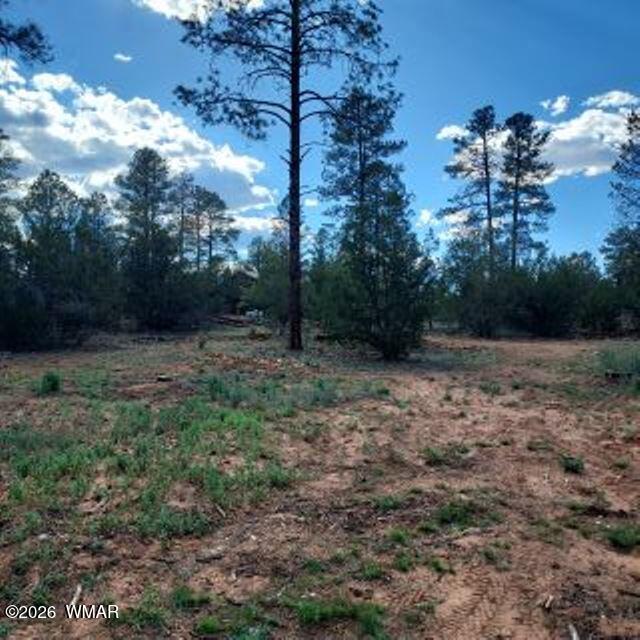 3120-3122 Whitetail Way Overgaard, AZ 85933 - Photo 5 of 7 Whitetail Way 4