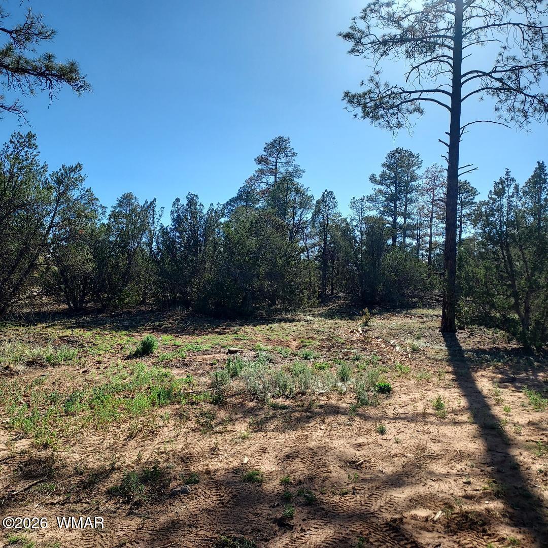3120-3122 Whitetail Way Overgaard, AZ 85933 - Photo 7 of 7 Whitetail Way 6
