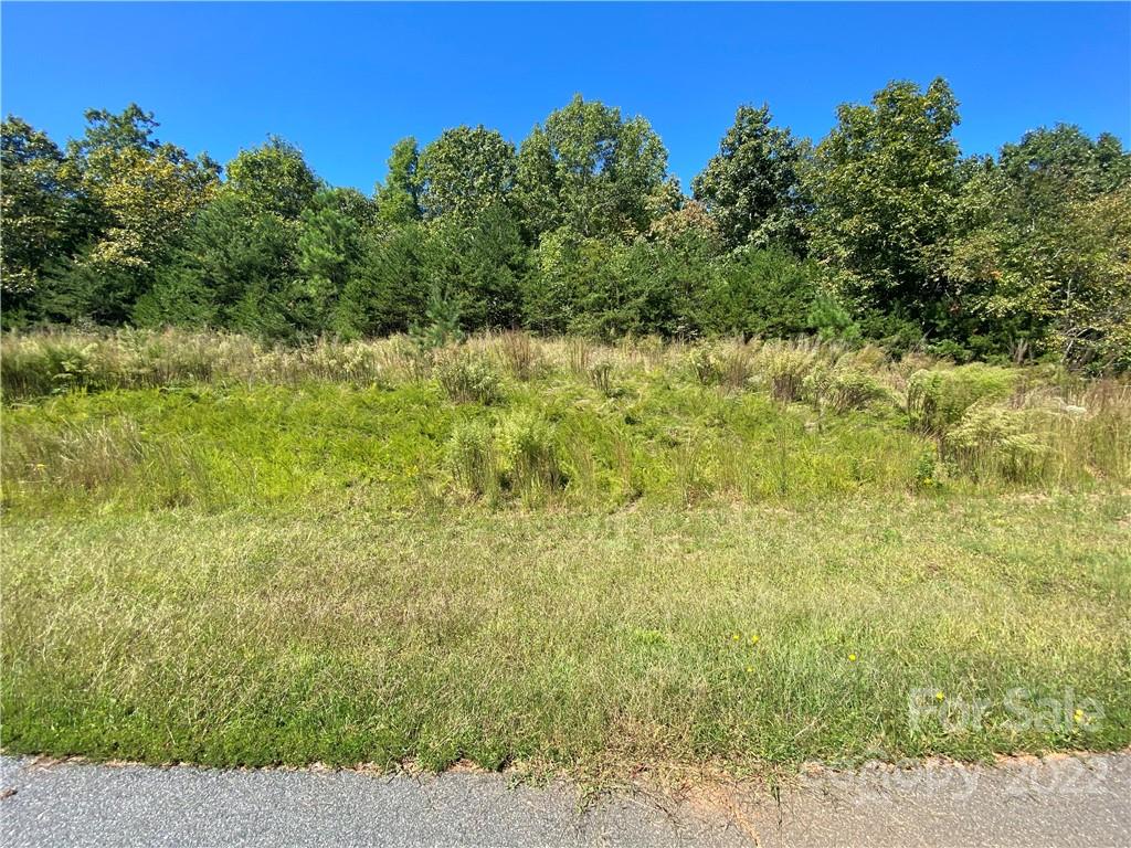 0 Hickory Street, Unit 23 Rutherfordton, NC 28139 - Photo 1 of 10 a view of a yard with plants and large trees