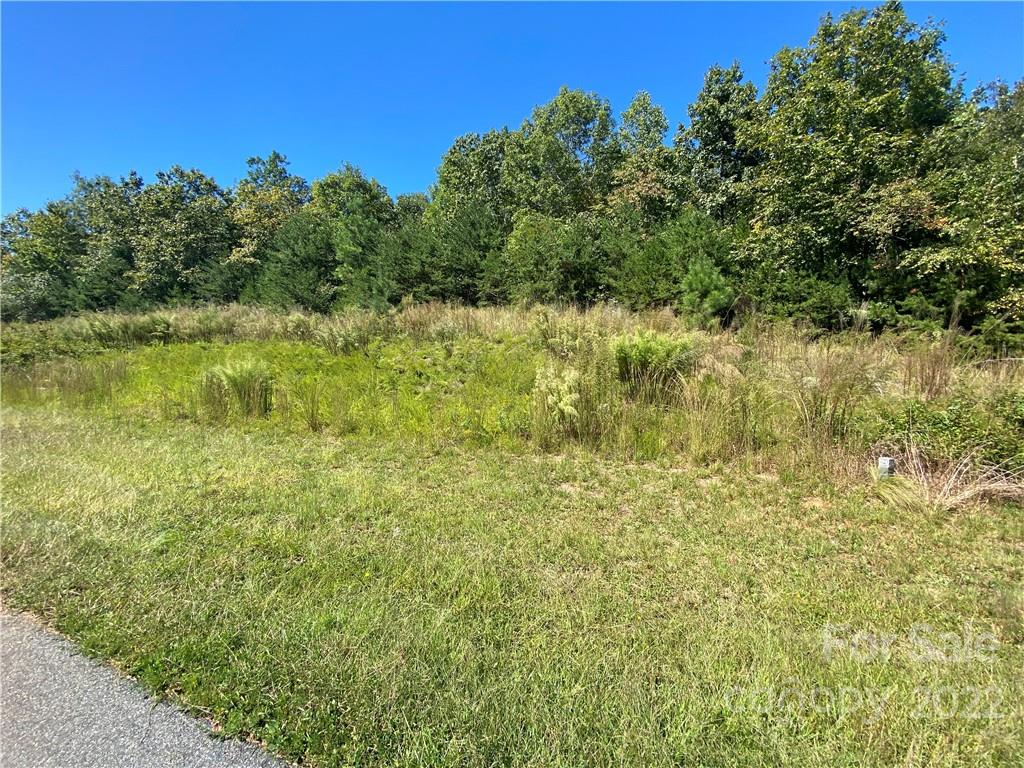 0 Hickory Street, Unit 23 Rutherfordton, NC 28139 - Photo 3 of 10 a view of a lake view