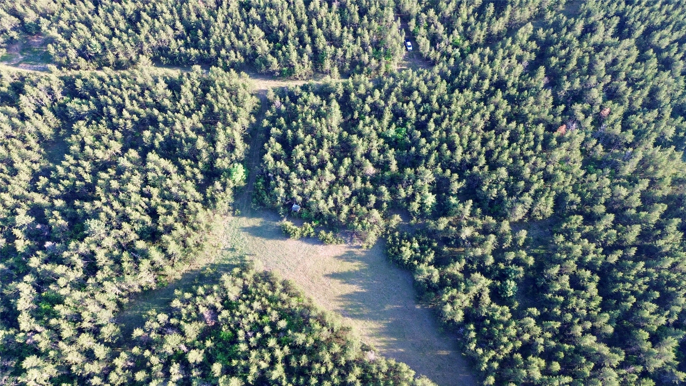 0 Cty Road Augusta, WI 54722 - Photo 14 of 53