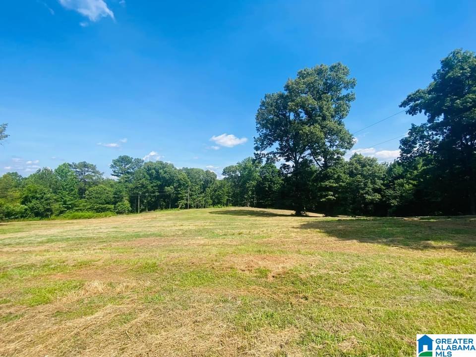 1522 St Mary Road Lincoln, AL 35096 - Photo 3 of 46