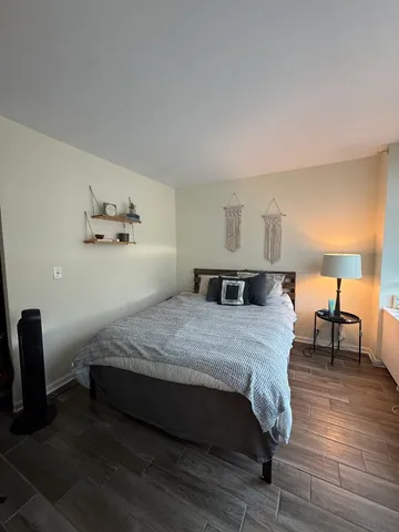 $2,000 | 1255 North Sandburg Terrace, Unit 305, Chicago, IL 60610
