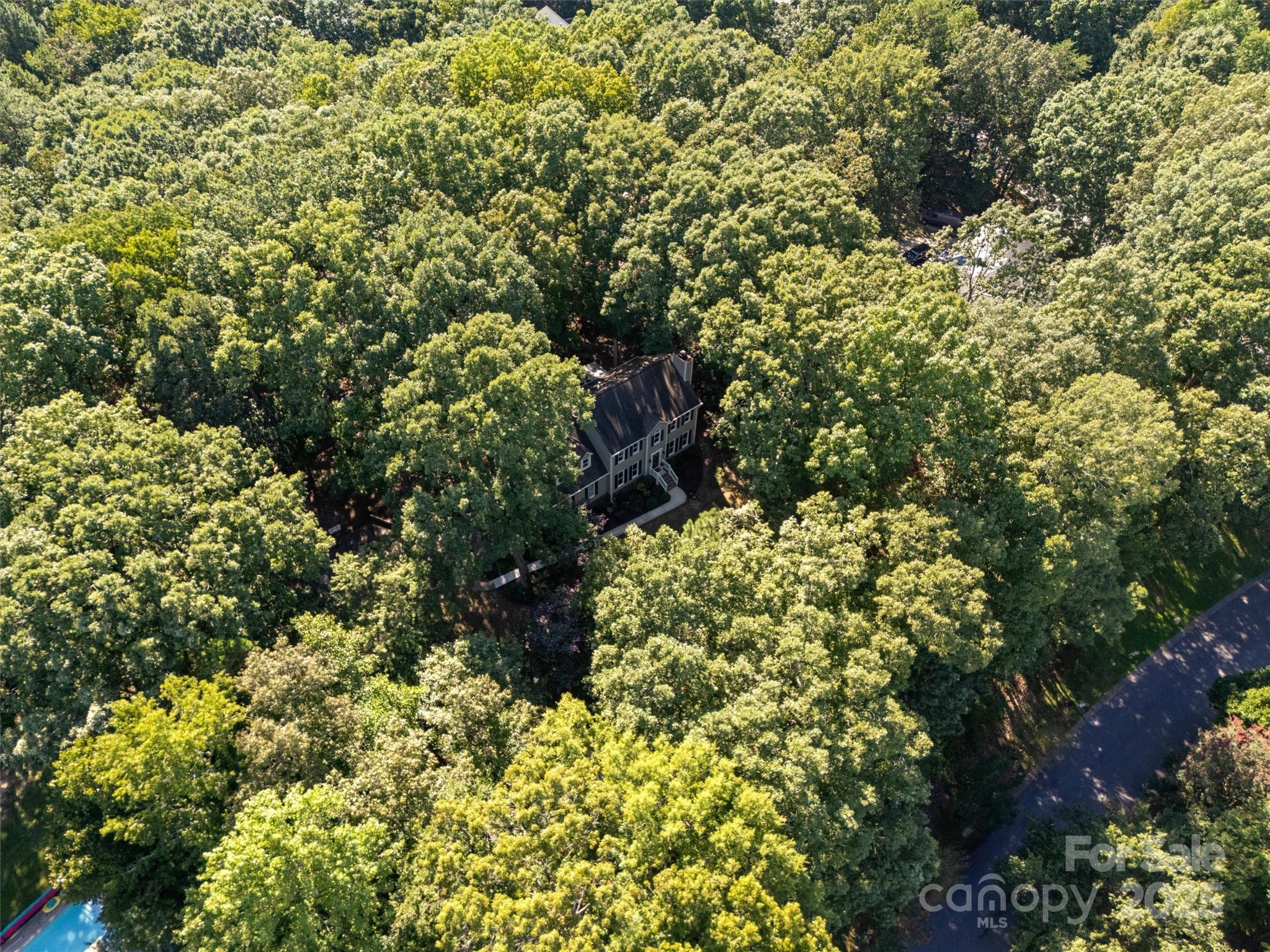 1419 Old Tara Lane Fort Mill, SC 29708 - Photo 43 of 48