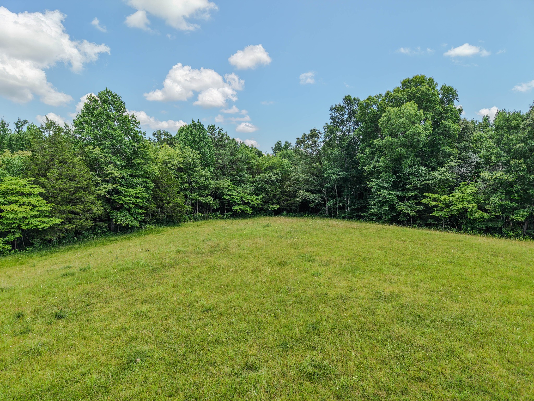 215 Clear Creek Road Leoma, TN 38468 - Photo 8 of 13