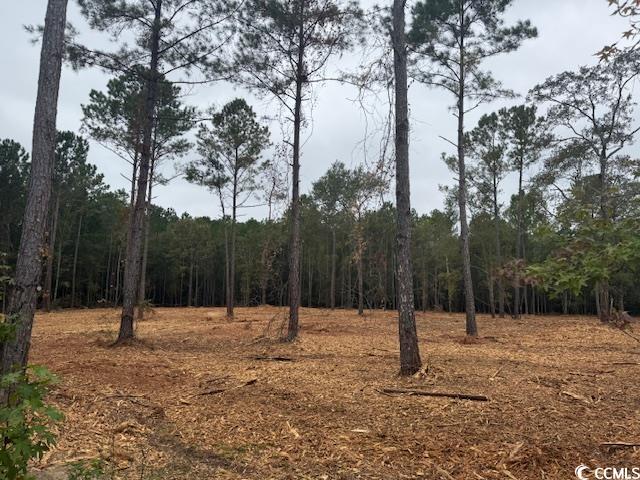 2 A McNabb Road Conway, SC 29526 - Photo 3 of 4 View of tree filled area