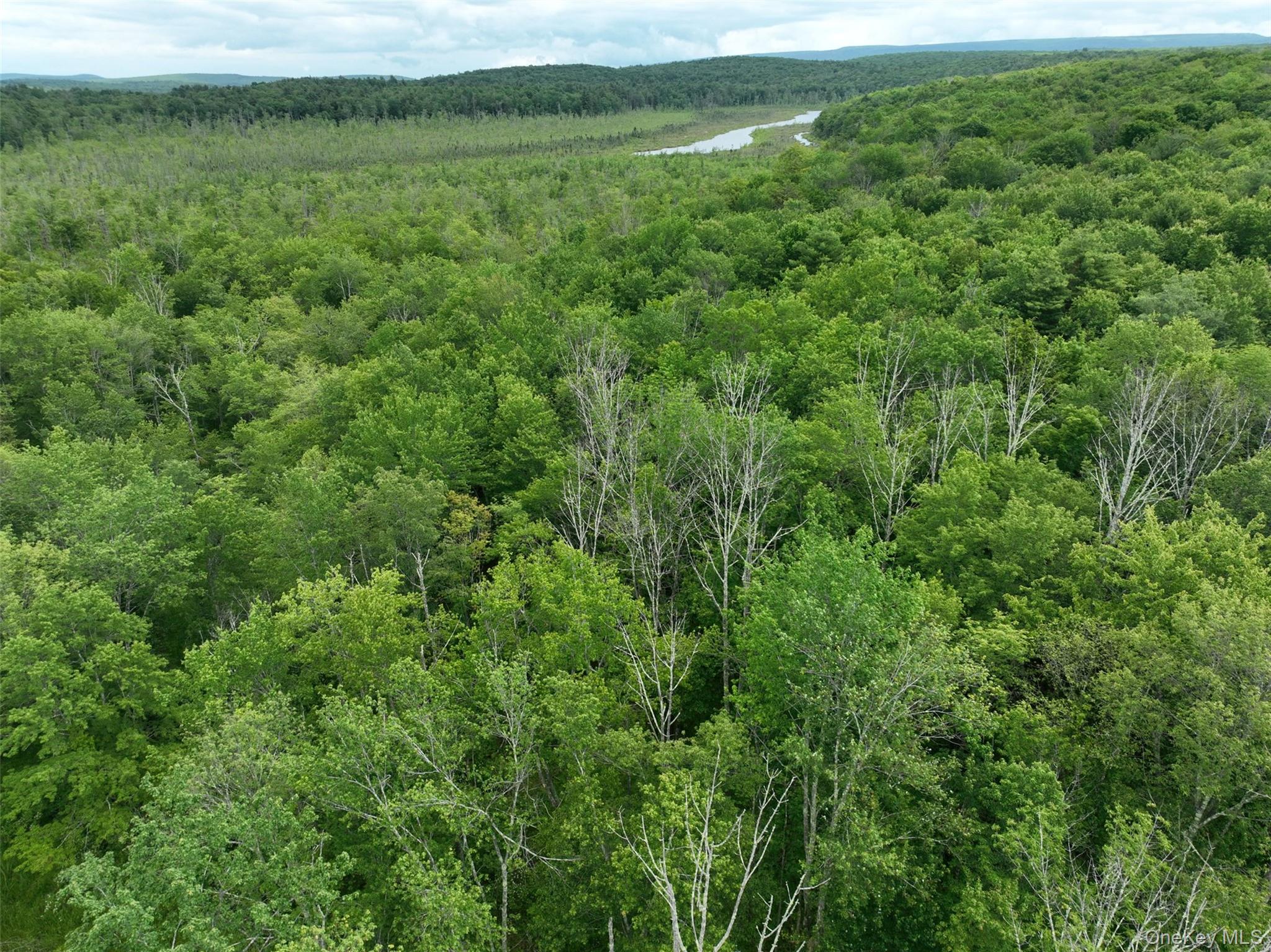 37 Cranberry Road Greenfield Park, NY 12435 - Photo 2 of 9 a view of a lush green space