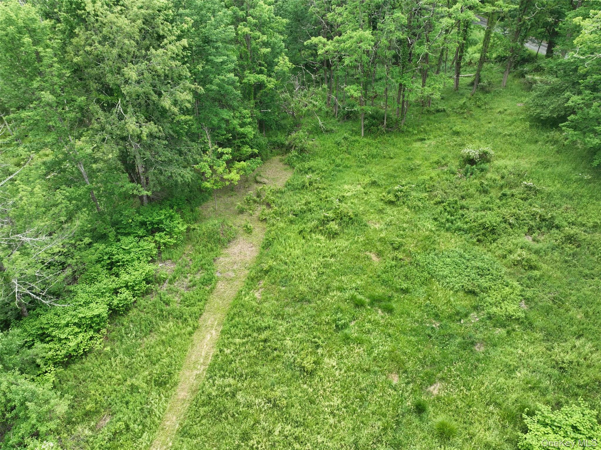 37 Cranberry Road Greenfield Park, NY 12435 - Photo 3 of 9 a view of a lush green space