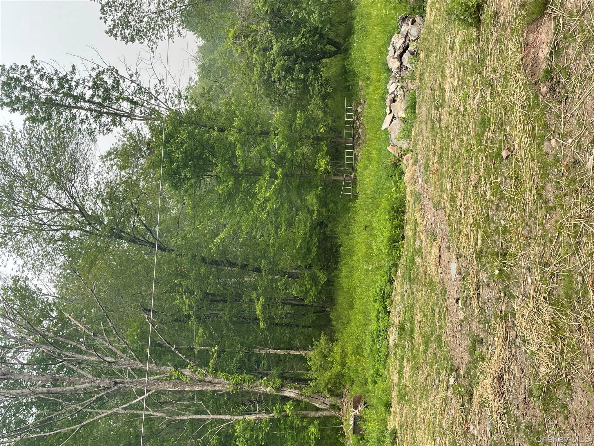 37 Cranberry Road Greenfield Park, NY 12435 - Photo 7 of 9 a view of a green field