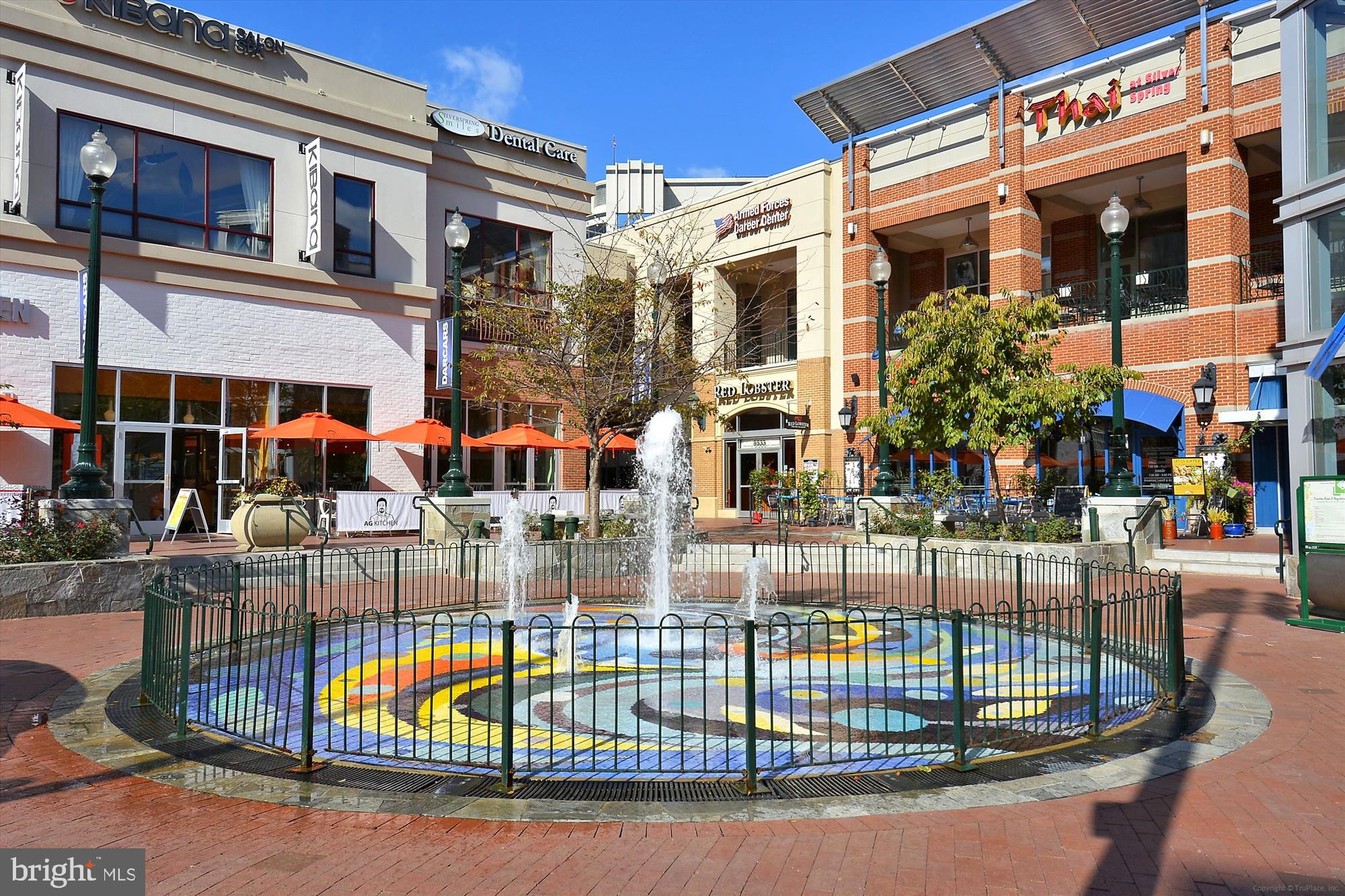 14101 Ansted Road Silver Spring, MD 20905 - Photo 74 of 80 Downtown Silver Spring Fountain