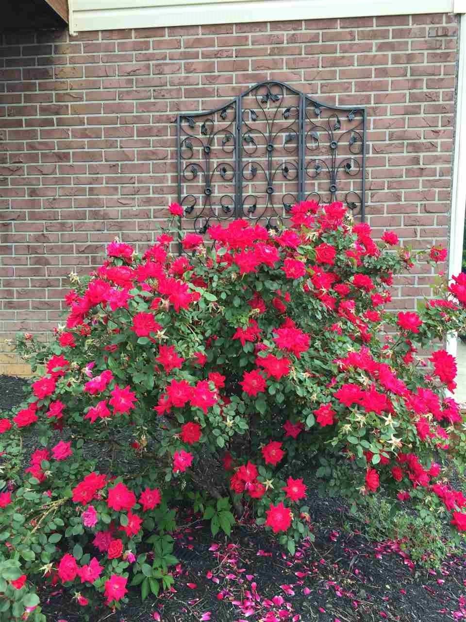 190 Old York Road Cleveland, TN 37323 - Photo 23 of 26 Gallery Image 23