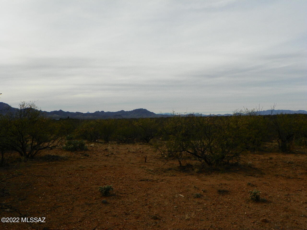 316 Camino Josefina, Unit 55 Rio Rico, AZ 85648 - Photo 6 of 6