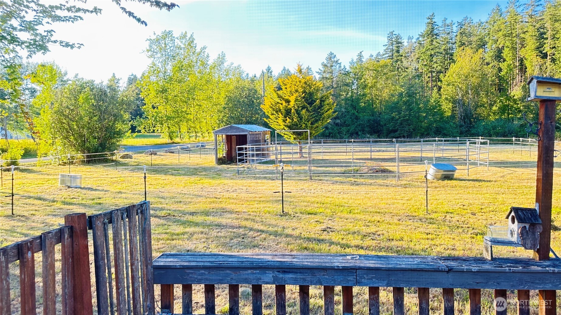 11 Michigan School Road East Sequim, WA 98382 - Photo 6 of 21