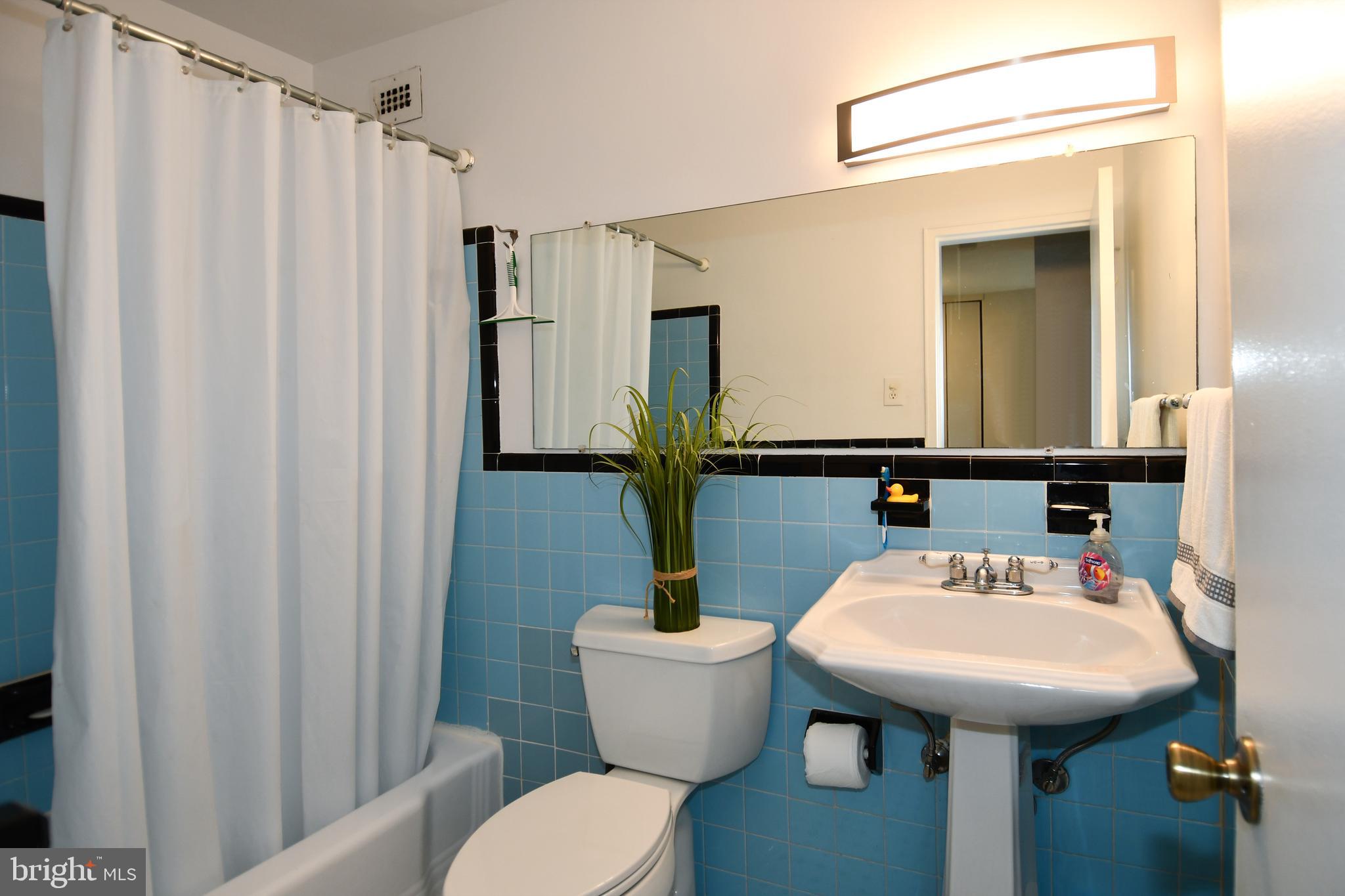 1200 South Arlington Ridge Road, Unit 704 Arlington, VA 22202 - Photo 17 of 30 Bathroom Retro look