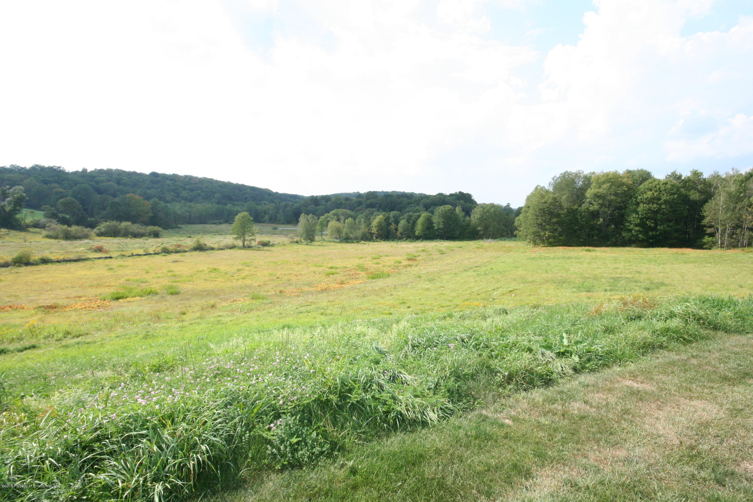 171 Kraky Road Scott Township, PA 18447 - Photo 24 of 34 Gallery Image 24