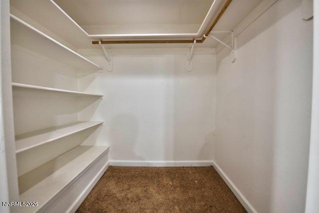 2640 Rockview Drive Reno, NV 89519 - Photo 38 of 56 a view of an empty walk in closet