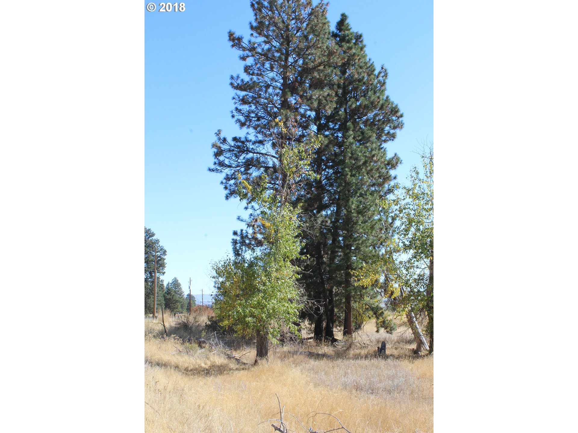 0 Pine Creek Road Baker City, OR 97814 - Photo 2 of 7 Gallery Image 2