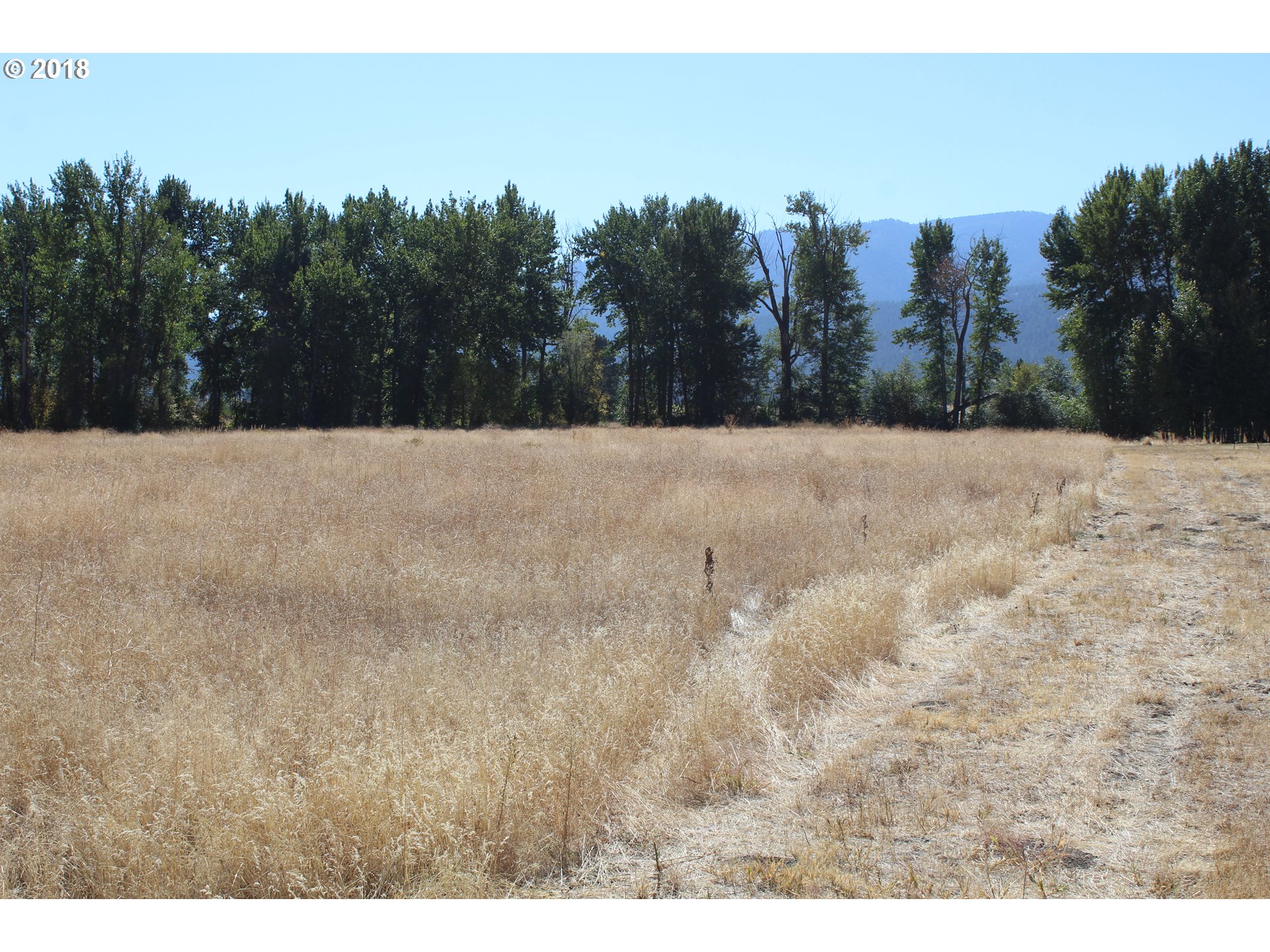 0 Pine Creek Road Baker City, OR 97814 - Photo 3 of 7 Gallery Image 3