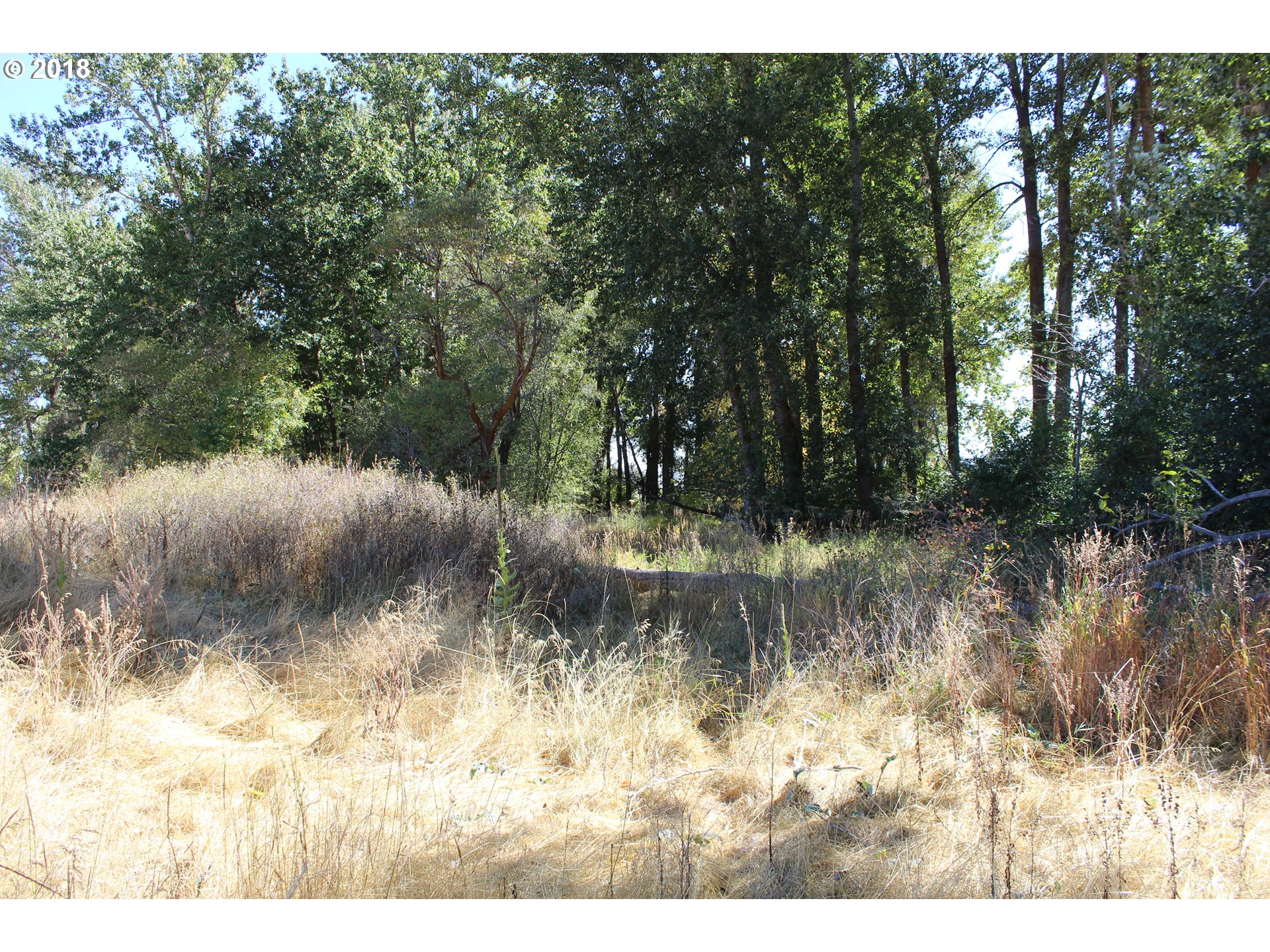 0 Pine Creek Road Baker City, OR 97814 - Photo 4 of 7 Gallery Image 4