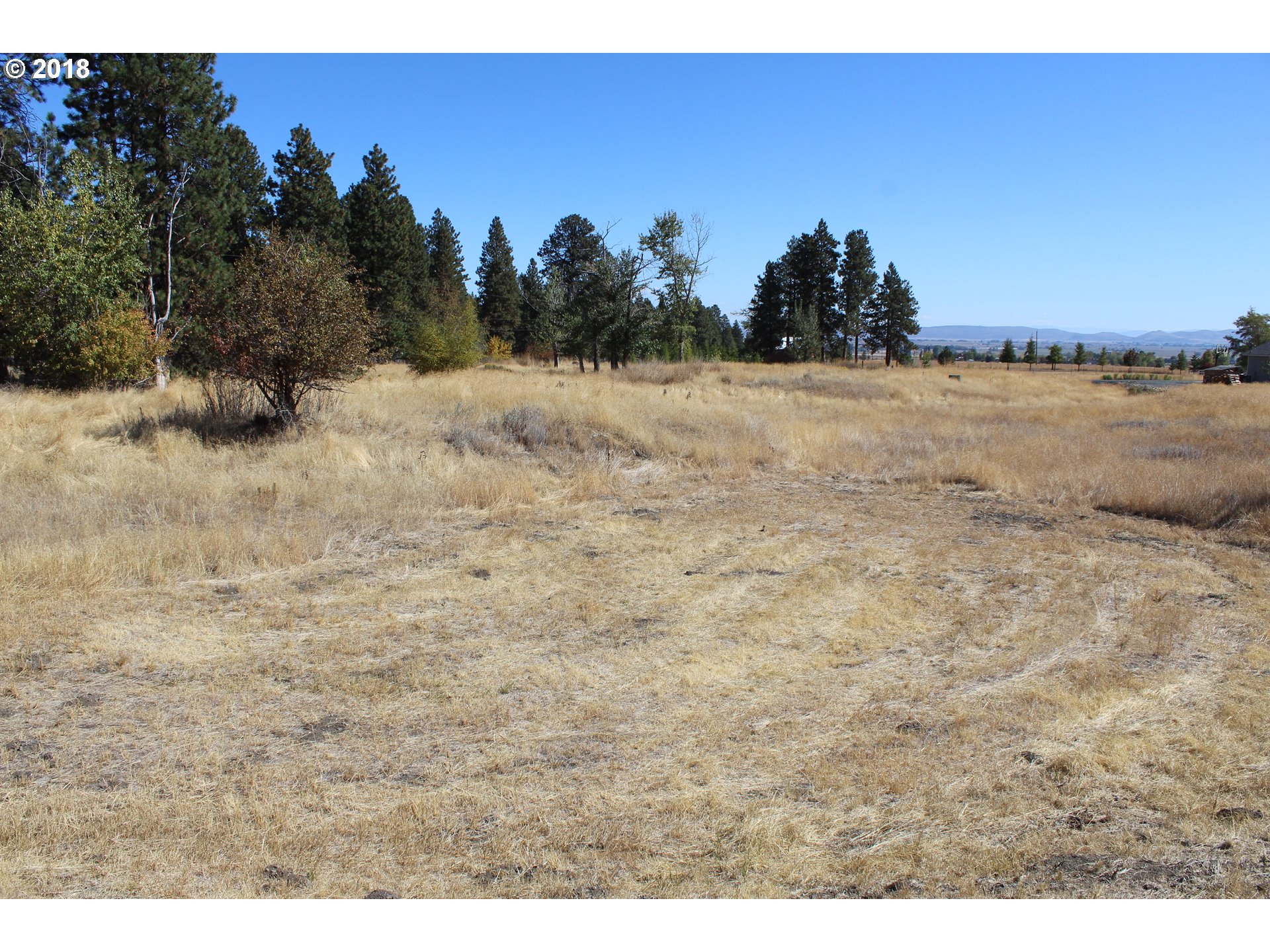 0 Pine Creek Road Baker City, OR 97814 - Photo 7 of 7 Gallery Image 7