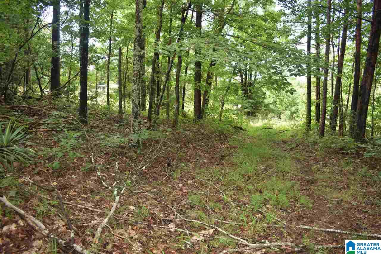 0 Pine View Road Remlap, AL 35133 - Photo 6 of 8