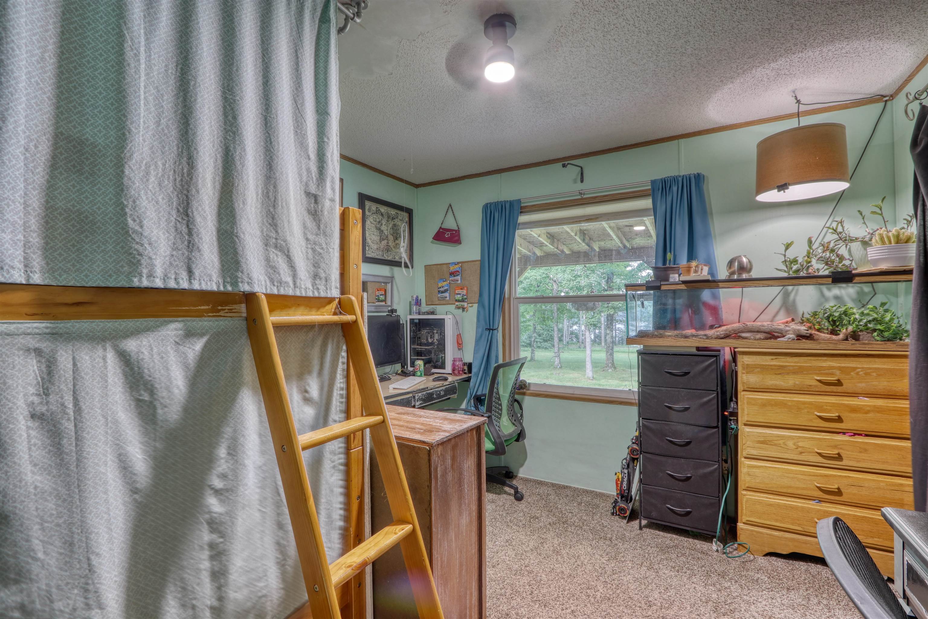 48400 Old Grade Road Cable, WI 54821 - Photo 31 of 58 Home office featuring ornamental molding, carpet floors, and a textured ceiling