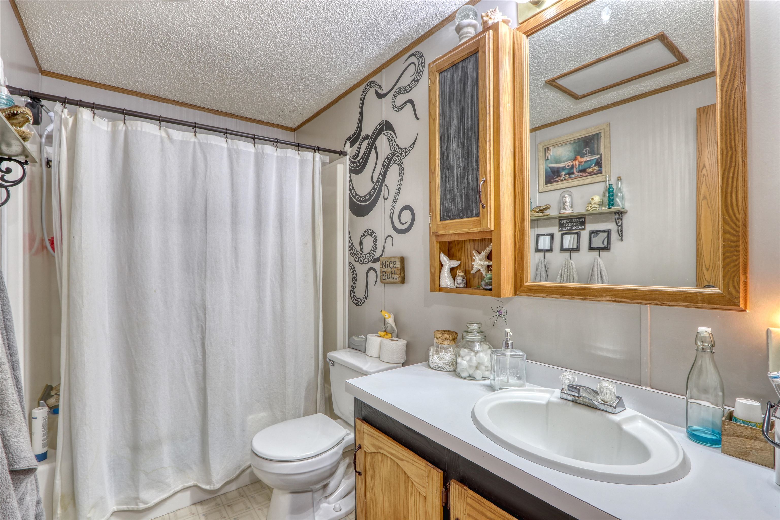 48400 Old Grade Road Cable, WI 54821 - Photo 33 of 58 Full bathroom with a textured ceiling, vanity, curtained shower, and crown molding