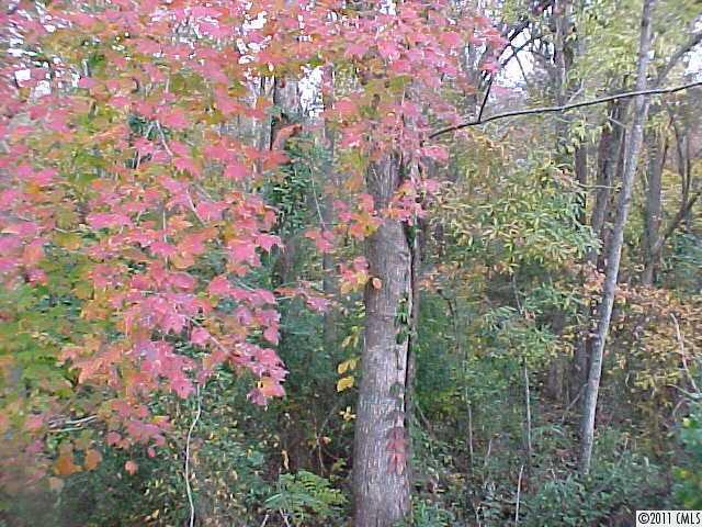 1 B Fincher Road Fort Lawn, SC 29714 - Photo 1 of 3 Gallery Image 1