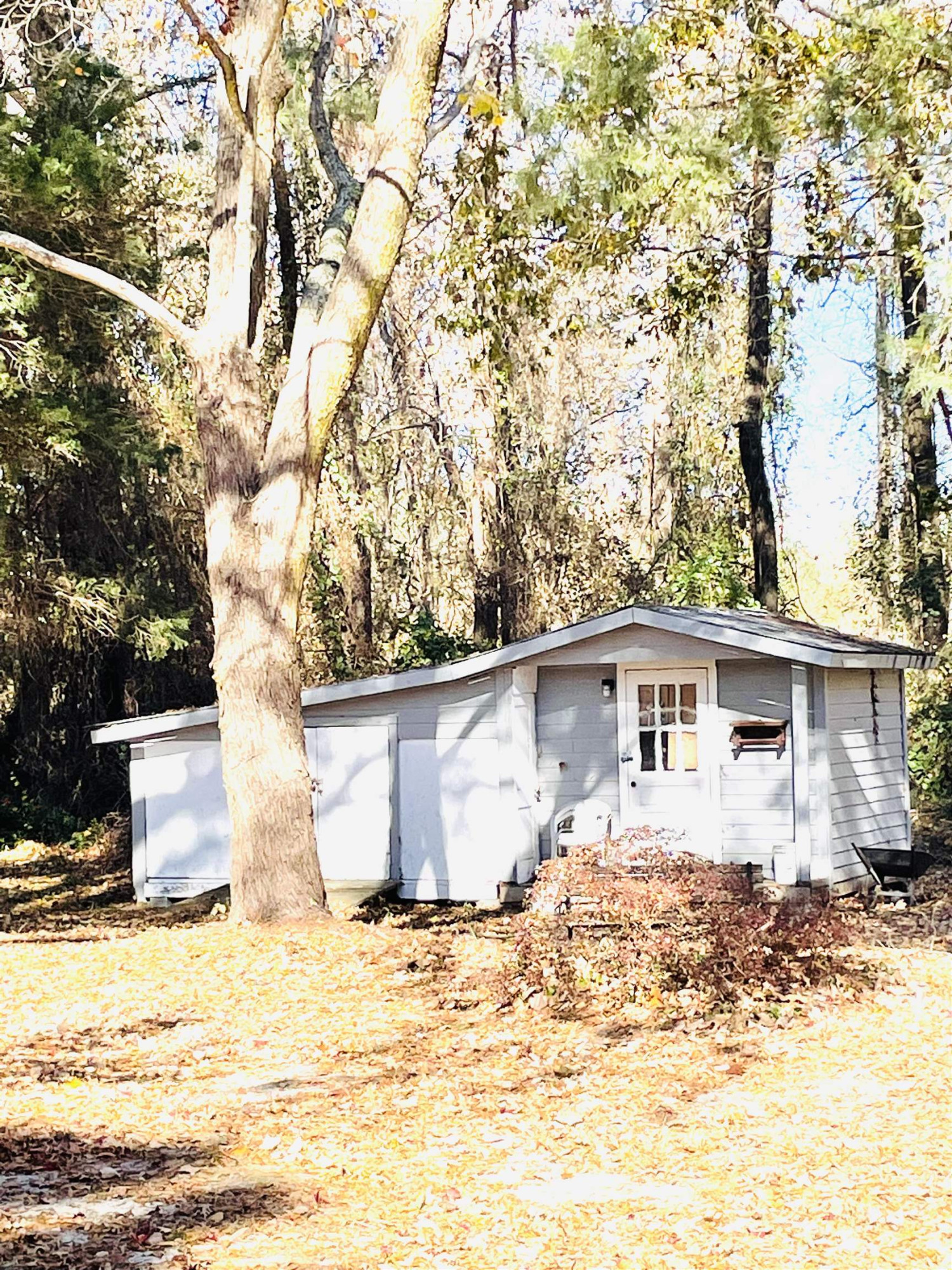 shed