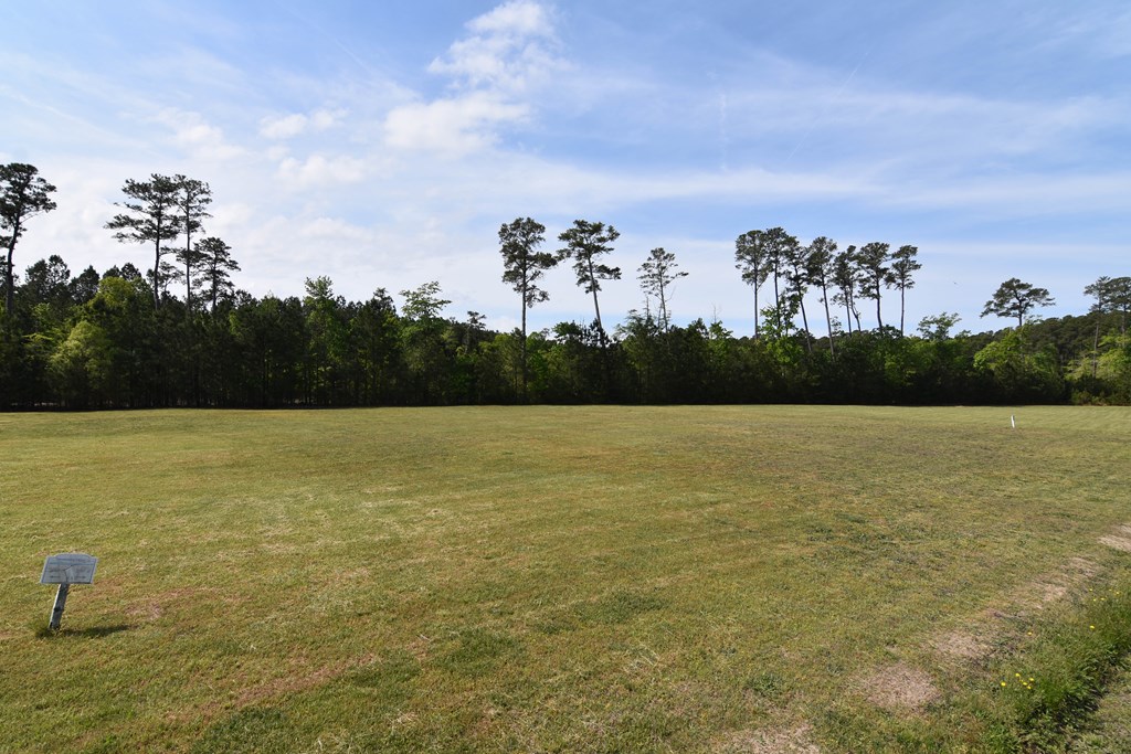Lot 1-2 Barn Woods Road, Unit 1 & 2 Onancock, VA 23417 - Photo 3 of 10
