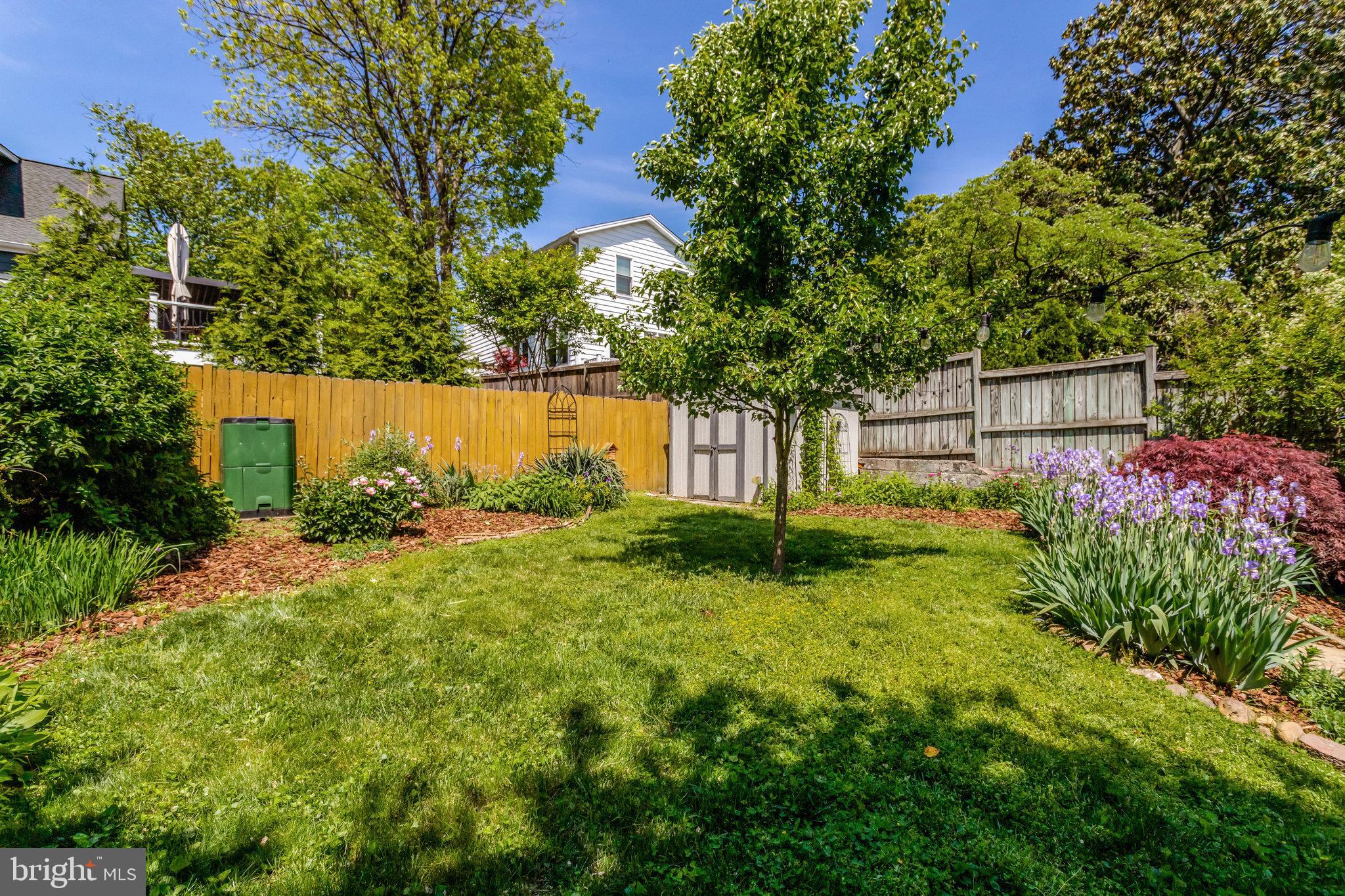 2708 Sycamore Street Alexandria, VA 22305 - Photo 50 of 71 a backyard of a house with lots of green space