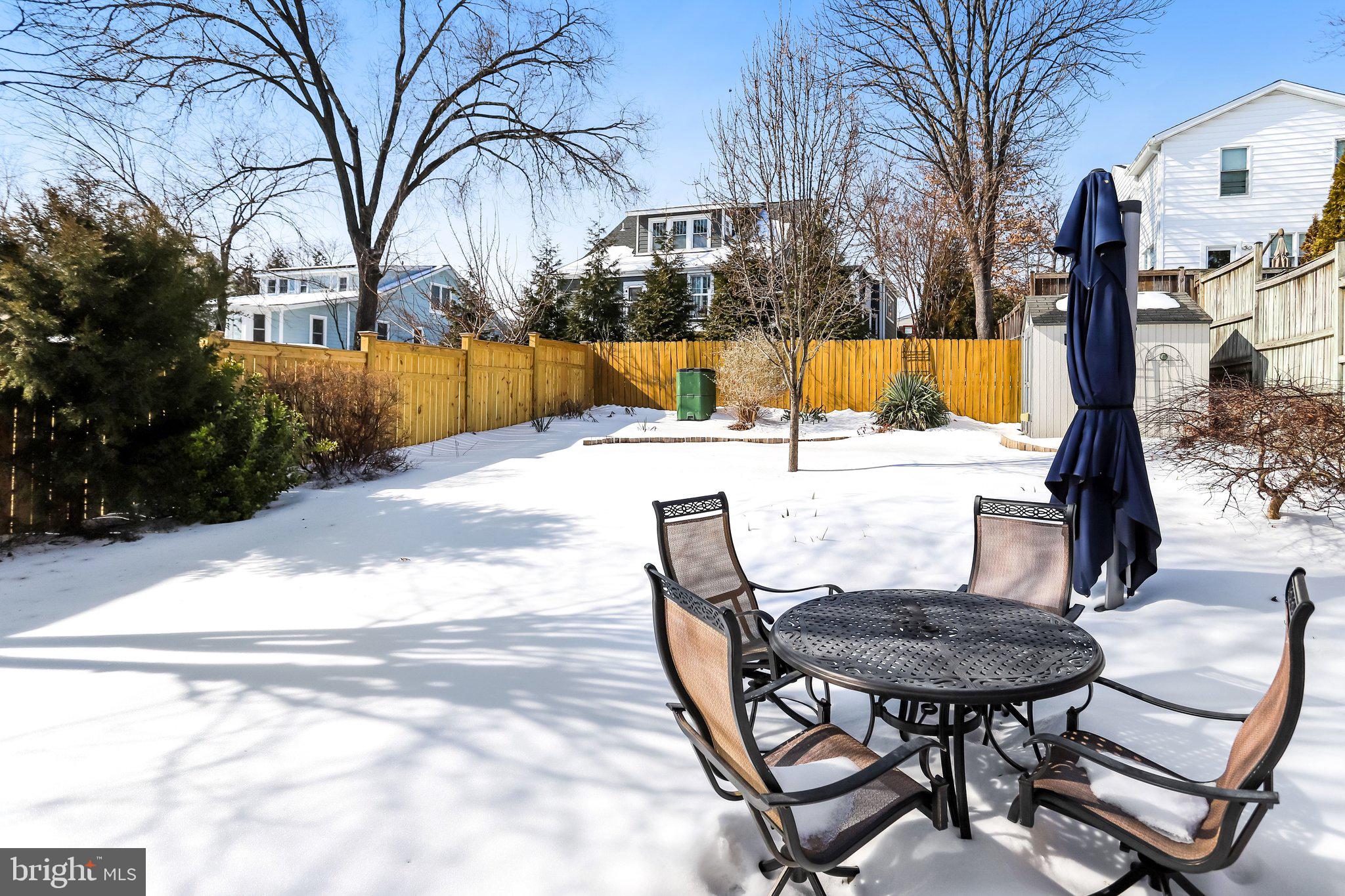 2708 Sycamore Street Alexandria, VA 22305 - Photo 58 of 71 Feb 2026 Snow Photo