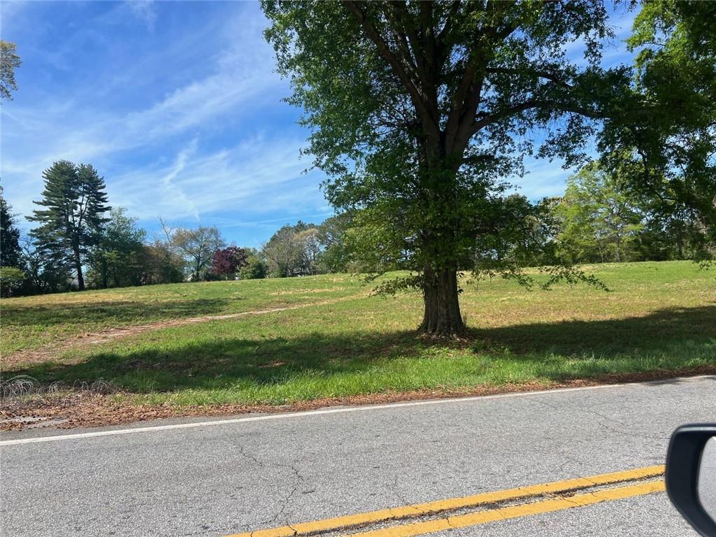 a view of a park with large trees