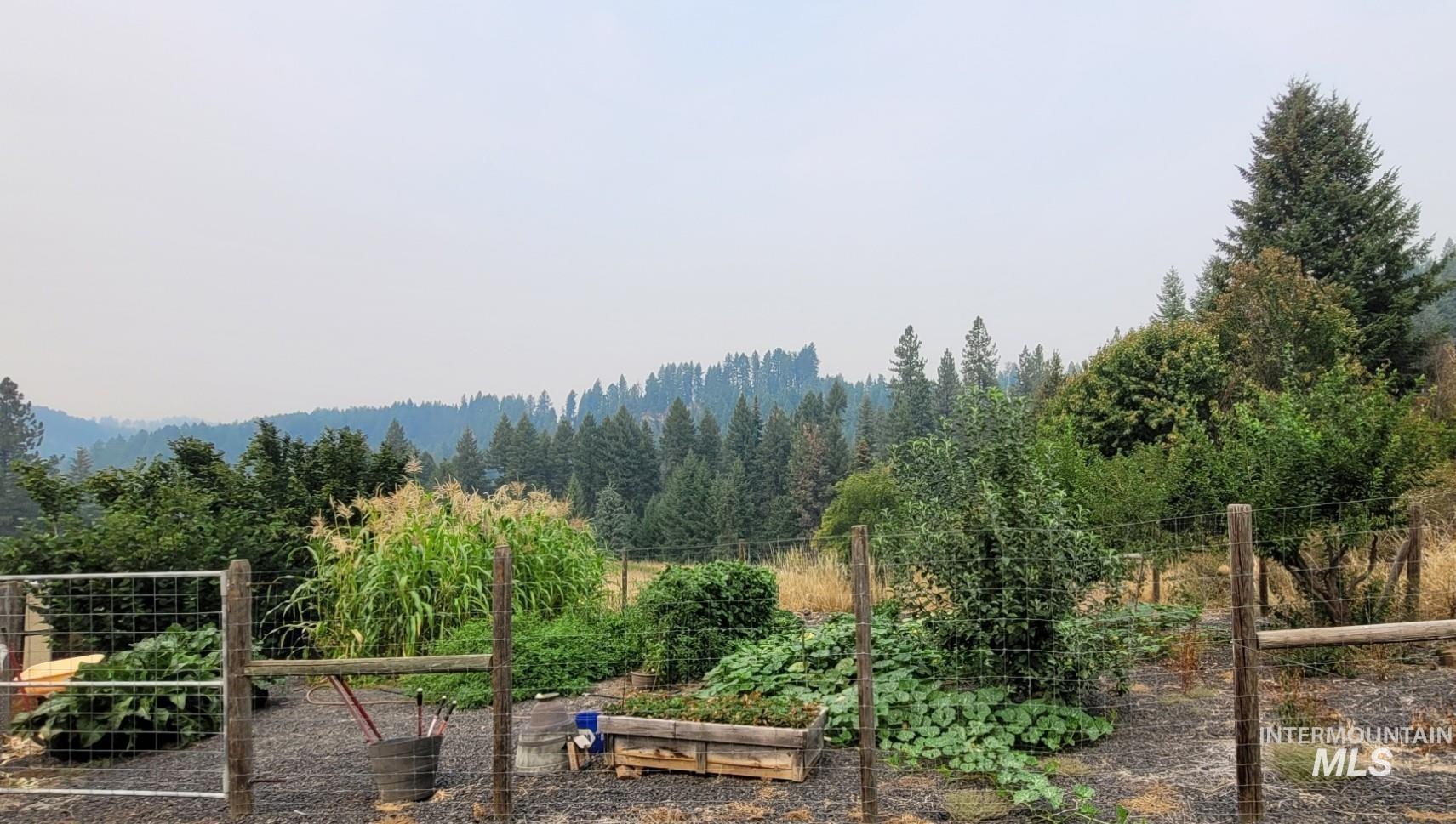 112 Three Forks Road Kamiah, ID 83536 - Photo 43 of 45