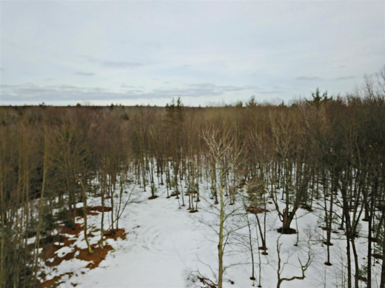 Morton Road, Unit 195 Free Soil, MI 49411 - Photo 15 of 22