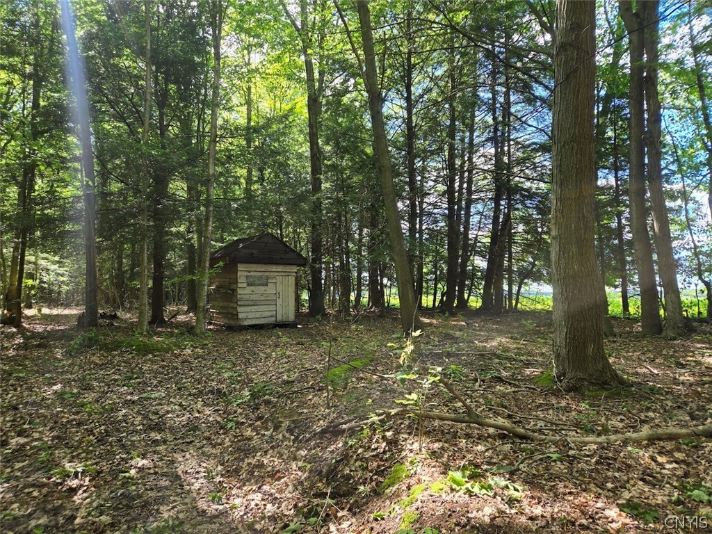7988 Dowd Road Pike, NY 14735 - Photo 26 of 37