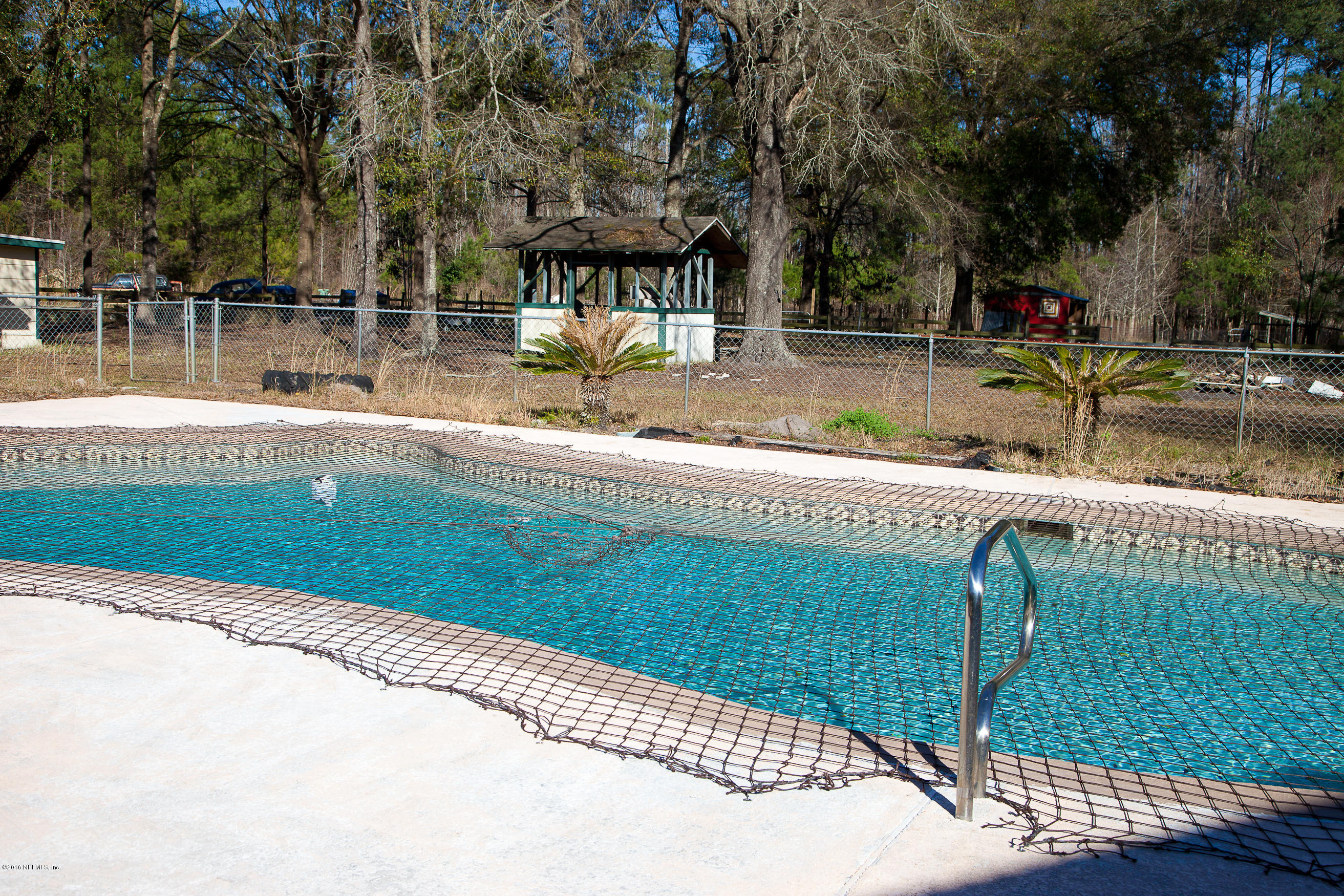 1255 Chaffee Road South Jacksonville, FL 32221 - Photo 19 of 27 IN GROUND POOL/ BACKYARD