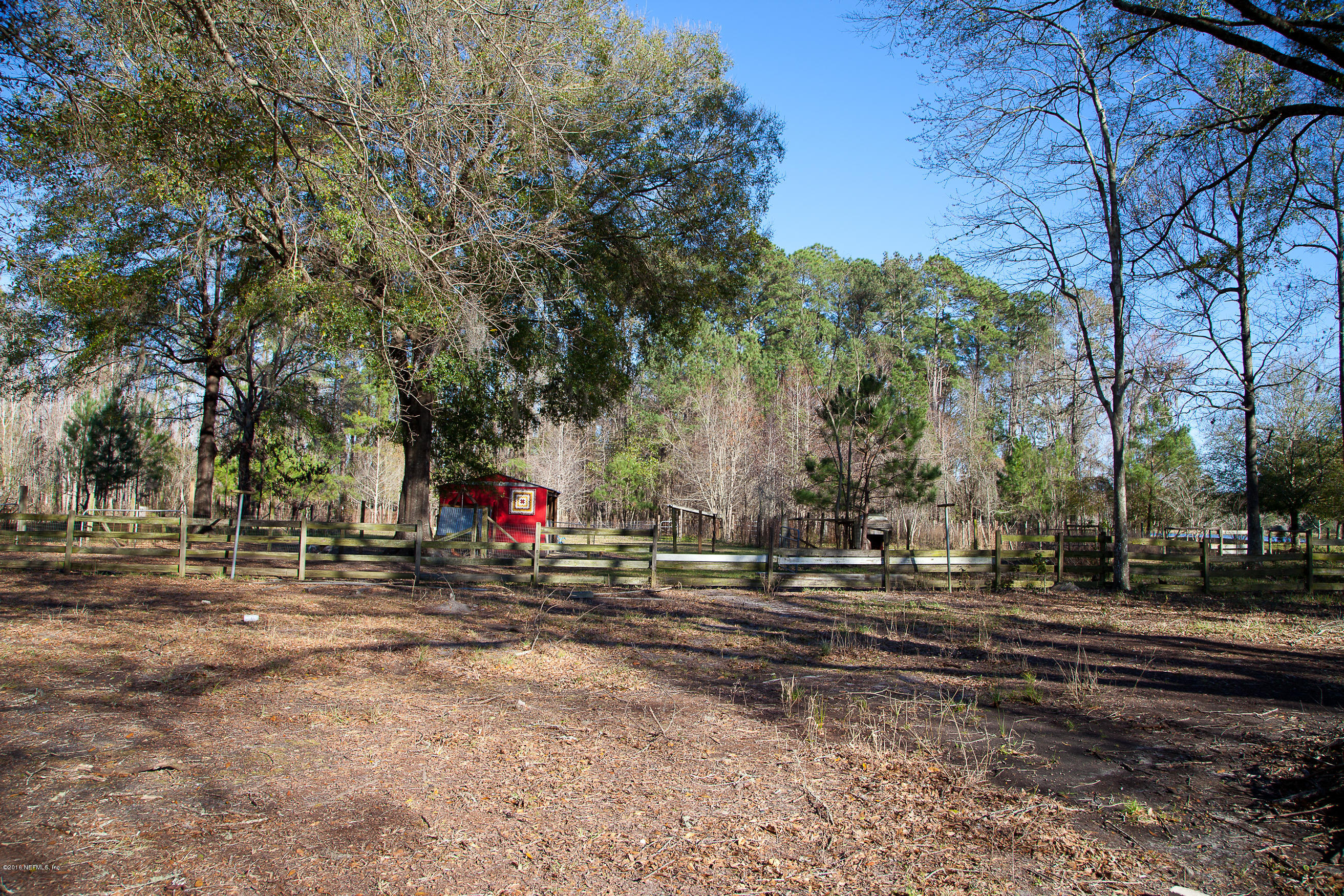 1255 Chaffee Road South Jacksonville, FL 32221 - Photo 27 of 27 BACK YARD