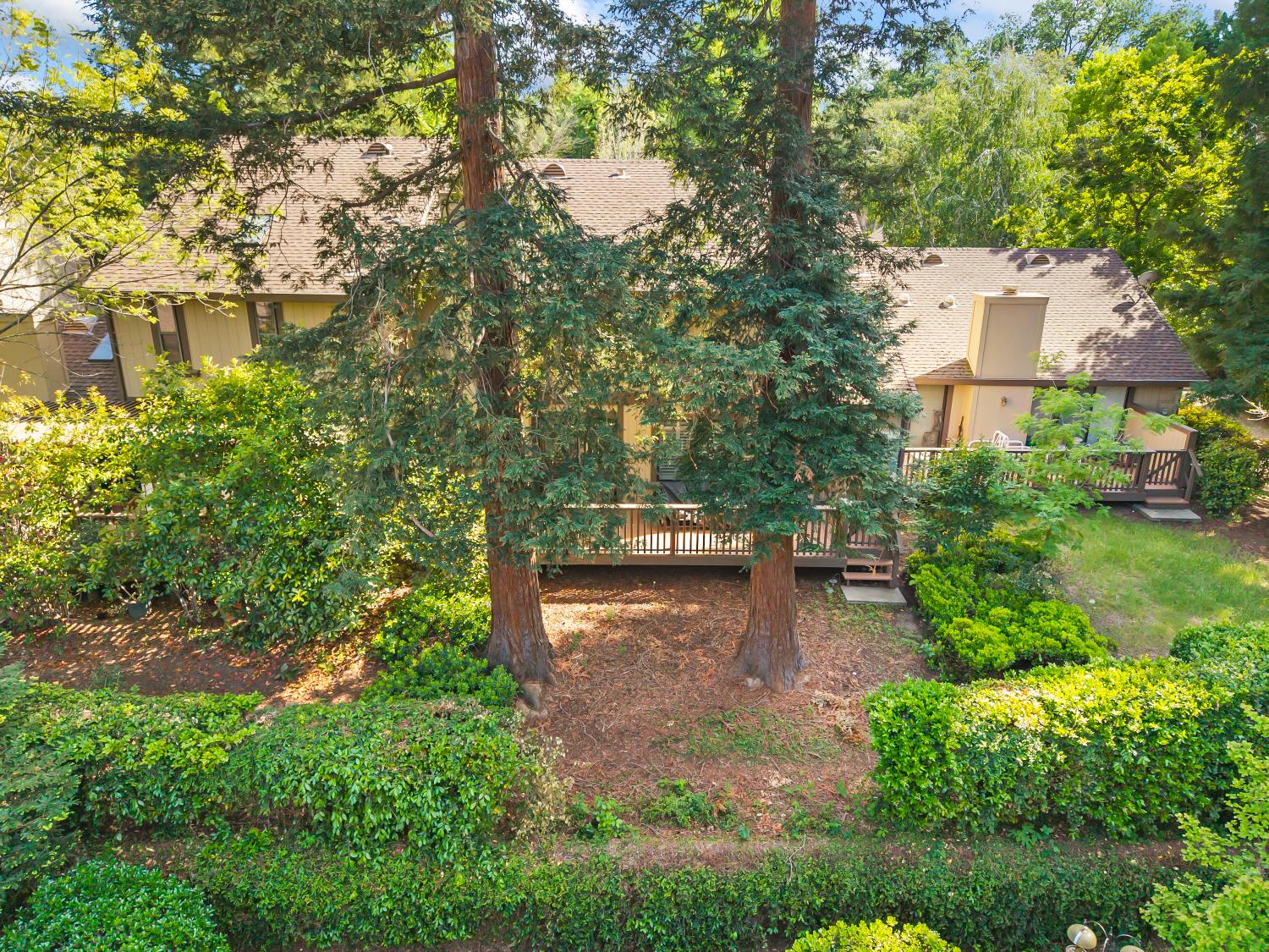 7023 Rio Cuarto Court Citrus Heights, CA 95621 - Photo 23 of 55