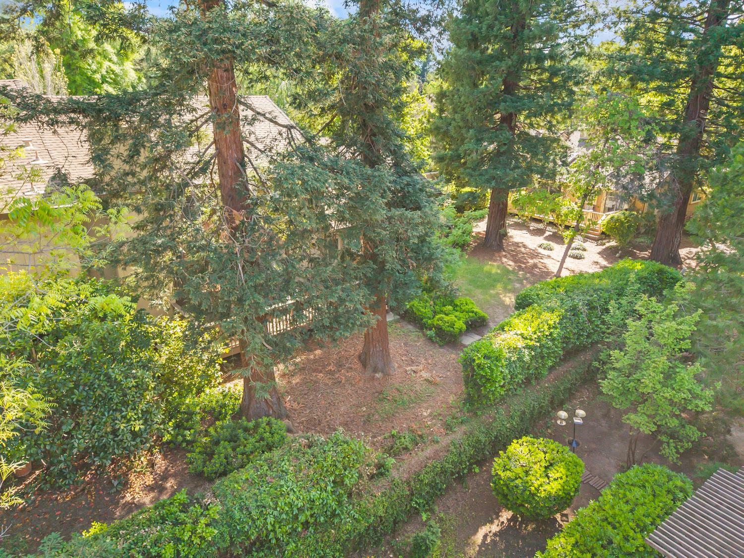 7023 Rio Cuarto Court Citrus Heights, CA 95621 - Photo 24 of 55